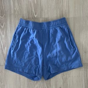 Aritzia Shorts